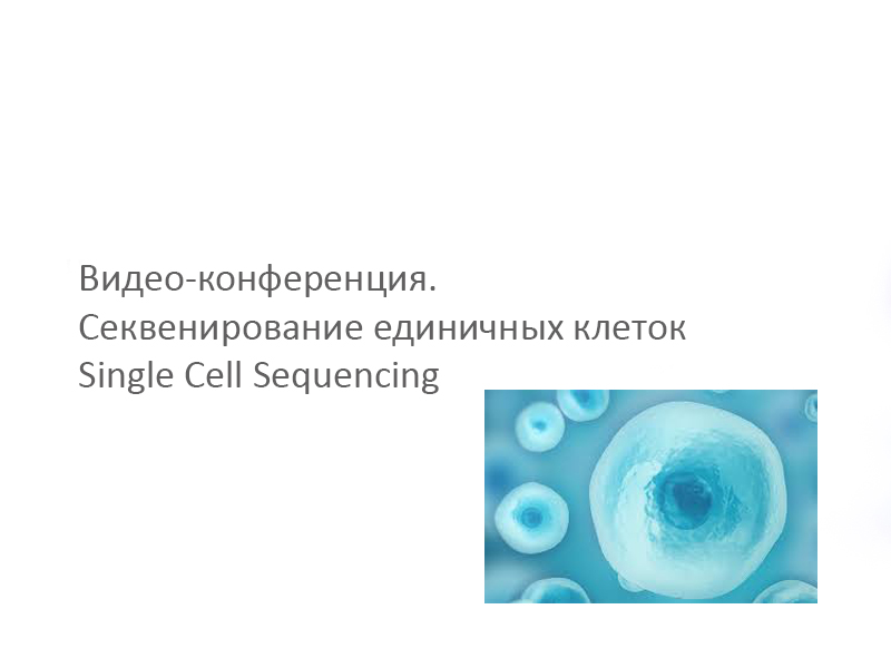 Видео-конференция. Секвенирование единичных клеток Single Cell Sequencing