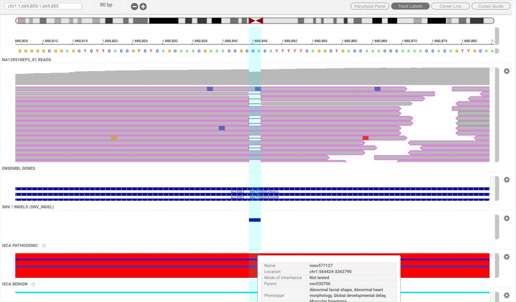 integrative-genome-viewer-web-graphic.jpg